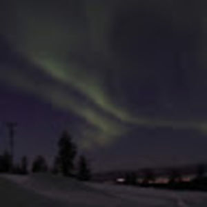 Meet your Posher, Martha ann